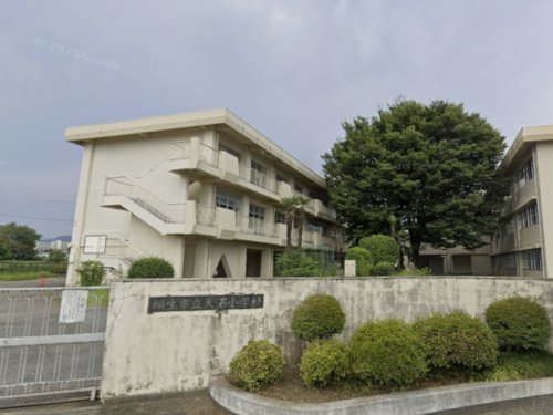 【小学校】桐生市立天沼小学校まで1104ｍ