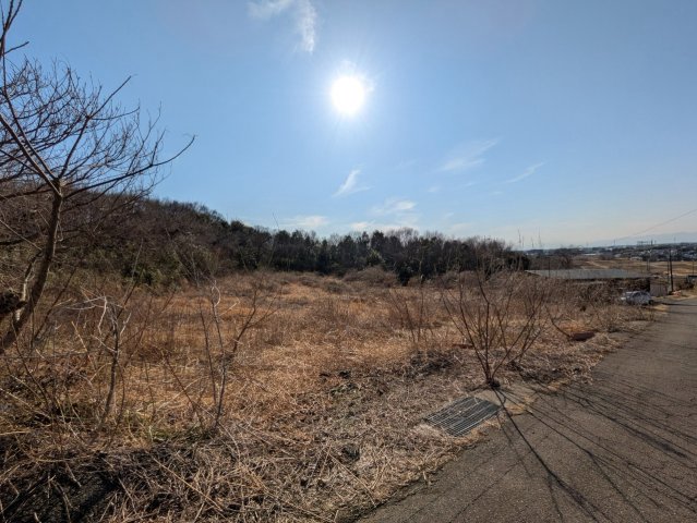 現地写真