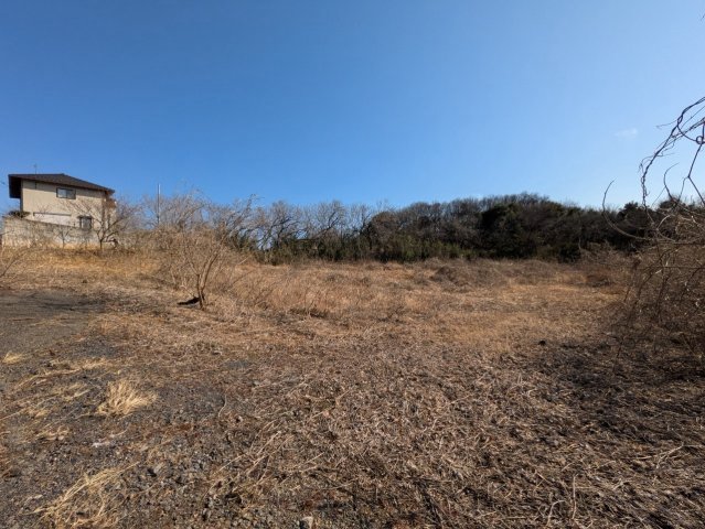 現地写真