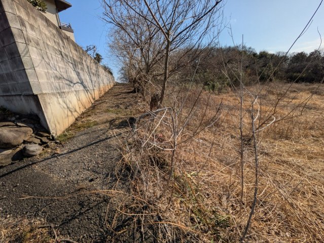 現地写真