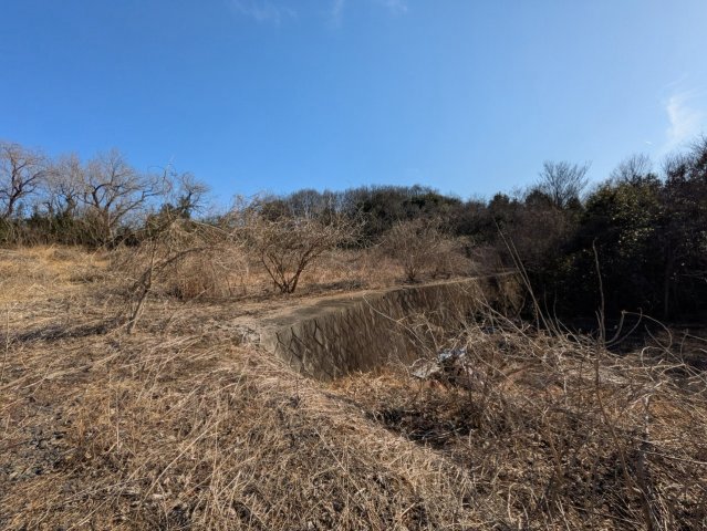 現地写真