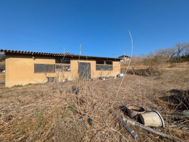 現地写真