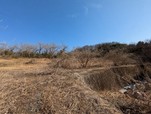 現地写真