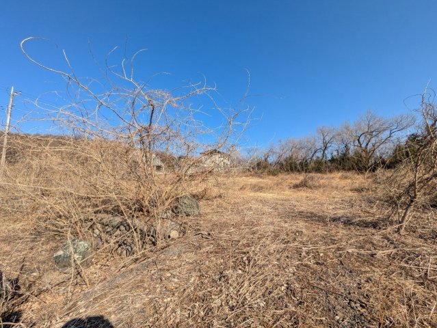 現地写真
