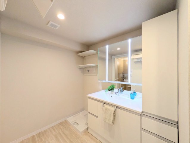 洗面台の三面鏡の裏は収納になっております！